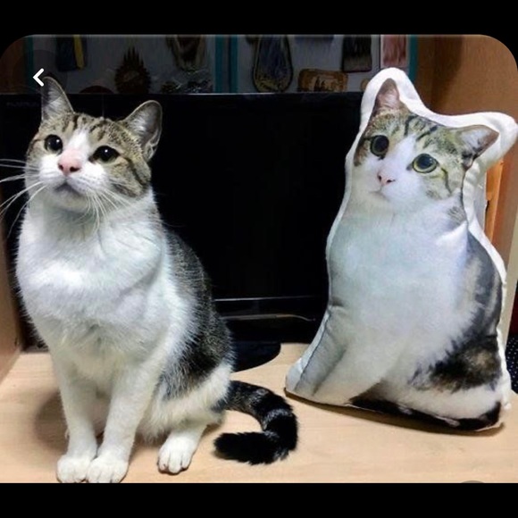 Custom Pet Pillow - Picture 6 of 7